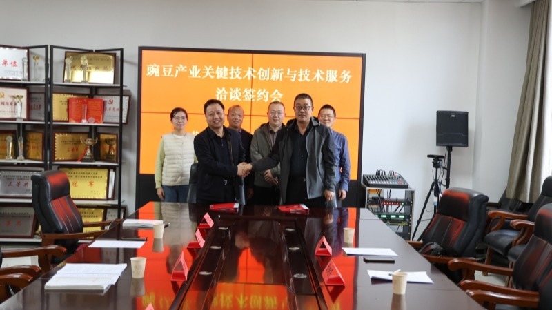 “研”与“产”深度融合  科企共建豌豆产业创新体系