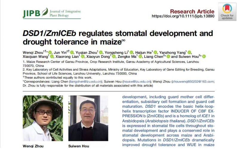 喜报：我院作物研究所周文期博士荣获“Wiley中国高贡献作者奖”