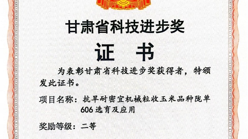 抗旱耐密宜机械粒收玉米品种陇单606选育及应用