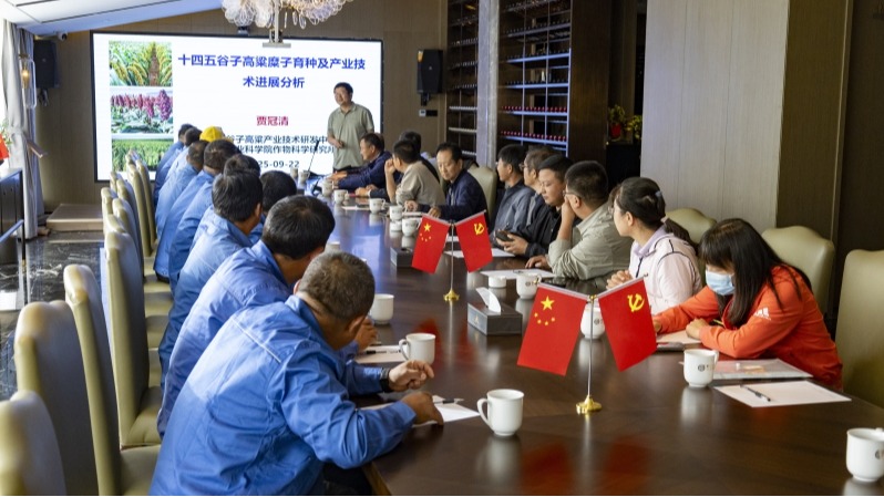 院地企协同发力 甘肃河西走廊示范田实现亩产高粱742公斤新水平