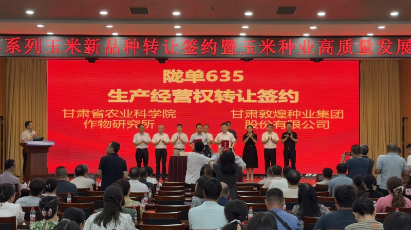签约额620万元！省农科院与四家企业携手  共筑西北玉米种业创新高地