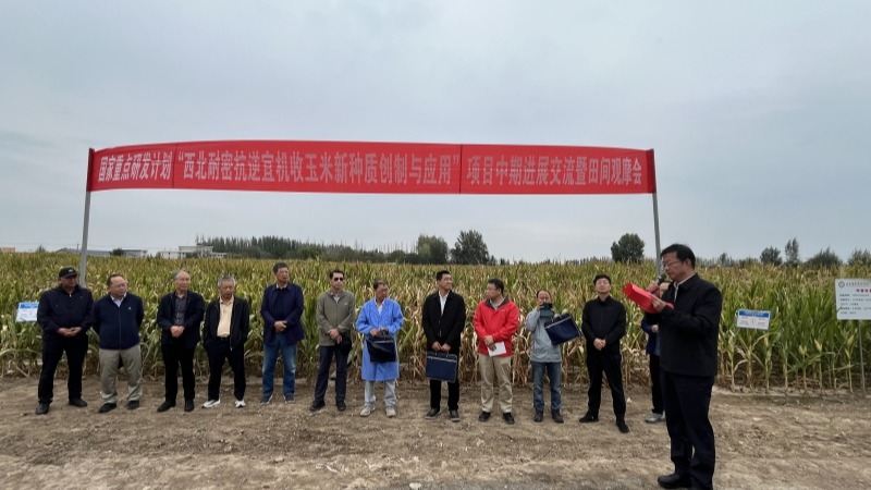 国家重点研发计划“西北耐密抗逆宜机收玉米新种质创制与应用”中期进展交流暨田间观摩会在张掖召开