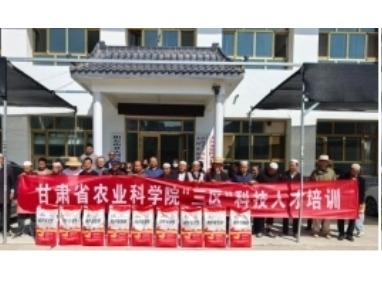 我院科技服务团队赴积石山县开展“三区”科技服务  助力农户增产增收