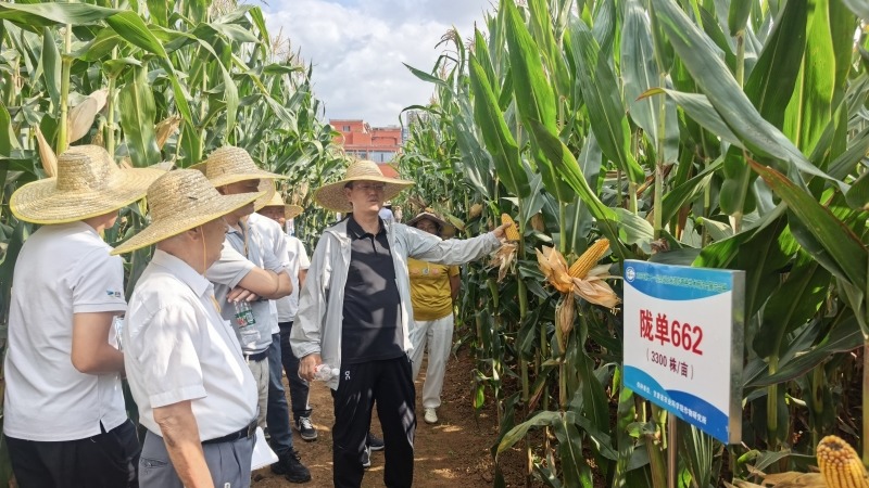 省农科院玉米团队携四大新品种亮相全国研讨会 获院士点赞