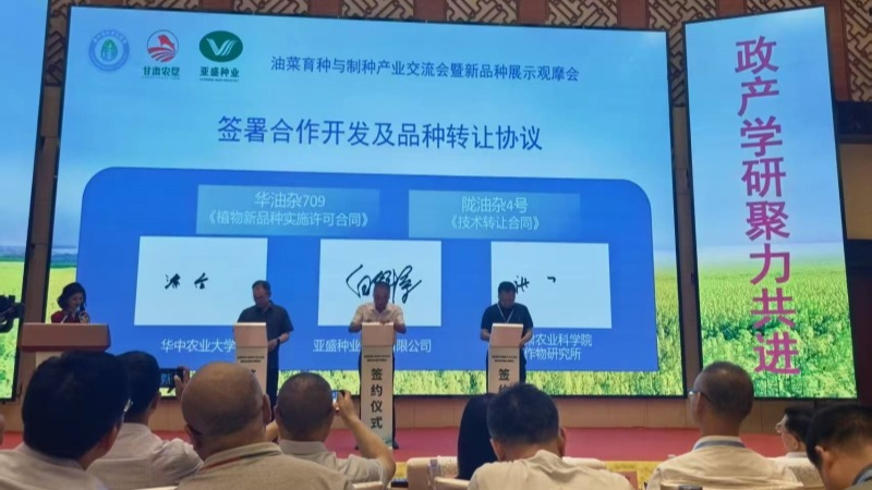 我院作物所与亚盛种业民乐公司成功签约 加速“陇油杂4号”成果转化