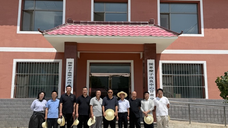 晋宁甘专家齐聚会宁  赋能谷子糜子产业升级