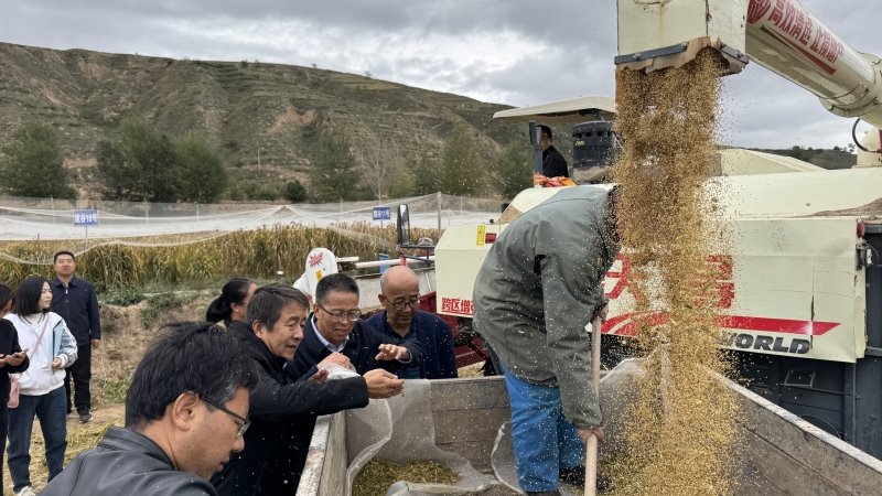 良种良法良机配套促进特色产业提质增效