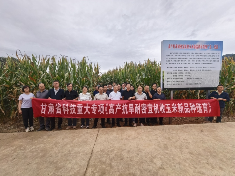 常宏在陇南玉米新品种观摩推介会上强调  以科技创新驱动陇南玉米产业高质量发展